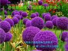 Published on 9/8/2014 ���ֹ�,����ҵ�󷨵��ӹ�ףʦ�������(34��)
