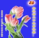 ���ֹ�,�ػʵ��󷨵��ӹ�ףʦ�������(26��)
