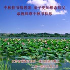 ���ֹ�,���մ󷨵��ӹ�ףʦ�������(24��)
