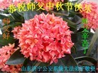 Published on 9/8/2014 ���ֹ�,��½�󷨵��ӹ�ףʦ�������(25��)
