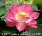 Published on 9/8/2014 ���ֹ�,��½�󷨵��ӹ�ףʦ�������(25��)
