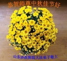 Published on 9/8/2014 ���ֹ�,��½�󷨵��ӹ�ףʦ�������(25��)
