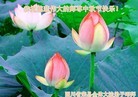 Published on 9/8/2014 ���ֹ�,��½�󷨵��ӹ�ףʦ�������(25��)
