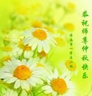 ���ֹ�,���ϴ󷨵��ӹ�ףʦ�������(29��)
