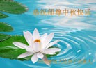 Published on 9/8/2014 ���ֹ�,�ӱ��ȷ��󷨵��ӹ�ףʦ�������(29��)
