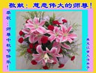 Published on 9/8/2014 ���ֹ�,��½�󷨵��ӹ�ףʦ�������(25��)
