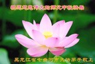 Published on 9/8/2014 ���ֹ�,��½�󷨵��ӹ�ףʦ�������(33��)
