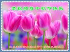 Published on 9/8/2014 ���ֹ�,��½�󷨵��ӹ�ףʦ�������(36��)
