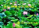 Published on 9/8/2014 ���ֹ�,��½�󷨵��ӹ�ףʦ�������(37��)
