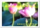 Published on 9/8/2014 ���ֹ�,��½�󷨵��ӹ�ףʦ�������(25��)
