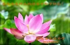 Published on 9/8/2014 ���ֹ�,��½�󷨵��ӹ�ףʦ�������(25��)
