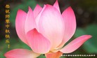 Published on 9/8/2014 ���ֹ�,��½�󷨵��ӹ�ףʦ�������(78��)
