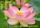 Published on 9/8/2014 ���ֹ�,��½�󷨵��ӹ�ףʦ�������(78��)
