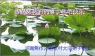 Published on 9/8/2014 ���ֹ�,��½�󷨵��ӹ�ףʦ�������(78��)

