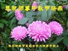 Published on 9/8/2014 ���ֹ�,��½�󷨵��ӹ�ףʦ�������(93��)
