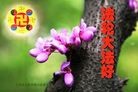 Published on 9/9/2014 ���ֹ�,��½�󷨵��ӹ�ףʦ�������(102��)
