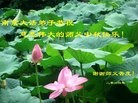 Published on 9/9/2014 ���ֹ�,��½�󷨵��ӹ�ףʦ�������(83��)
