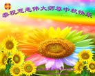 Published on 9/9/2014 ���ֹ�,��½�󷨵��ӹ�ףʦ�������(102��)
