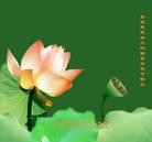 ���ֹ�,�����󷨵��ӹ�ףʦ�������(79��)
