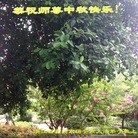 ���ֹ�,�㽭�󷨵��ӹ�ףʦ�������(25��)
