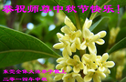 Published on 9/9/2014 ���ֹ�,���졢�㶫�󷨵��ӹ�ףʦ�������(60��)
