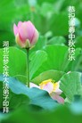 Published on 9/9/2014 ���ֹ�,���ϡ������󷨵��ӹ�ףʦ�������(53��)
