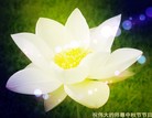 Published on 9/9/2014 ���ֹ�,��½�󷨵��ӹ�ףʦ�������(112��)
