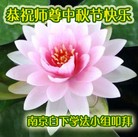 ���ֹ�,���������մ󷨵��ӹ�ףʦ�������(50��)
