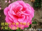 Published on 9/9/2014 ���ֹ�,��½�󷨵��ӹ�ףʦ�������(102��)
