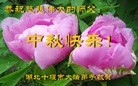 Published on 9/9/2014 ���ֹ�,���ϡ������󷨵��ӹ�ףʦ�������(53��)
