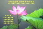Published on 9/9/2014 ���ֹ�,��½�󷨵��ӹ�ףʦ�������(102��)
