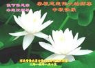 Published on 9/9/2014 ���ֹ�,���ϡ��ӱ��󷨵��ӹ�ףʦ�������(80��)
