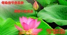 Published on 9/9/2014 ���ֹ�,��½�󷨵��ӹ�ףʦ�������(72��)
