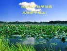 Published on 9/9/2014 ���ֹ�,��½�󷨵��ӹ�ףʦ�������(65��)
