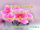 Published on 9/9/2014 ���ֹ�,��½�󷨵��ӹ�ףʦ�������(72��)
