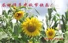 Published on 9/9/2014 ���ֹ�,��½�󷨵��ӹ�ףʦ�������(79��)
