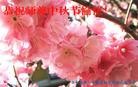 Published on 9/9/2014 ���ֹ�,��½�󷨵��ӹ�ףʦ�������(65��)
