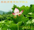 Published on 9/9/2014 ���ֹ�,��½�󷨵��ӹ�ףʦ�������(79��)
