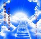 ���ֹ�,��½�󷨵��ӹ�ףʦ������ã�145����
