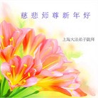 ���ֹ�,�Ϻ��󷨵��ӹ�ףʦ������(22��)
