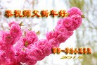 ���ֹ�,�ӱ��󷨵��ӹ�ףʦ������(22��)
