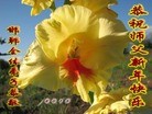 ���ֹ�,�ӱ��󷨵��ӹ�ףʦ������(22��)
