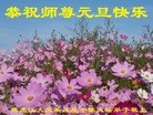 Published on 12/31/2015 ���ֹ�,��½�󷨵��ӹ�ףʦ���������(30��)
