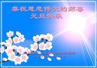 Published on 12/29/2015 ���ֹ�,��½�󷨵��ӹ�ףʦ���������(27��)
