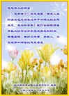 Published on 12/29/2015 ���ֹ�,��½�󷨵��ӹ�ףʦ���������(27��)
