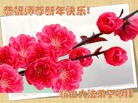 Published on 12/29/2015 ���ֹ�,��½�󷨵��ӹ�ףʦ���������(38��)
