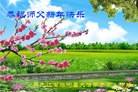 Published on 12/29/2015 ���ֹ�,��½�󷨵��ӹ�ףʦ���������(27��)
