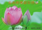Published on 12/29/2015 ���ֹ�,��½�󷨵��ӹ�ףʦ���������(20��)
