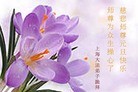 Published on 12/29/2015 ���ֹ�,��½�󷨵��ӹ�ףʦ���������(36��)
