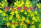 Published on 12/30/2015 ���ֹ�,����ϵͳ�󷨵��ӹ�ףʦ�������(22��)
